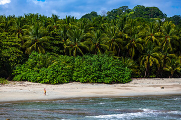 beautiful girl walks on tropical beach with huge palm trees; paradise tropical beach in Costa Rica