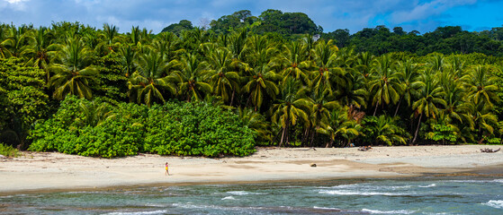 beautiful girl walks on tropical beach with huge palm trees; paradise tropical beach in Costa Rica