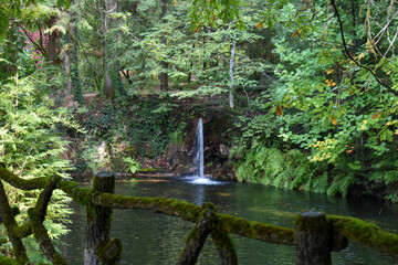 In nature, light creates the color. In the picture, color creates the light.