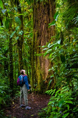 backpacker girl walks through dense jungle in monteverde cloud forest, Costa Rica; walk through fairy tale, magical tropical rainforest; wild nature of Costa Rica