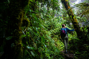 backpacker girl walks through dense jungle in monteverde cloud forest, Costa Rica; walk through fairy tale, magical tropical rainforest; wild nature of Costa Rica