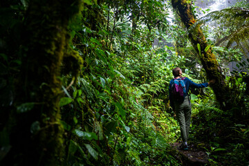 Naklejka na ściany i meble backpacker girl walks through dense jungle in monteverde cloud forest, Costa Rica; walk through fairy tale, magical tropical rainforest; wild nature of Costa Rica