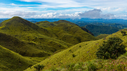 panorama of Costa Rica's cerro pelado mountains during a sunny day; mighty mountains covered with green, succulent grass; mountains in the tropics amidst rainforests