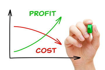 Low Cost High Profit Business Graph Concept