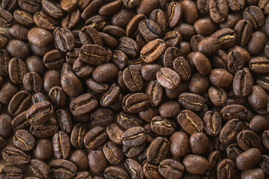 パプアニューギニア産コーヒー豆　シグリ