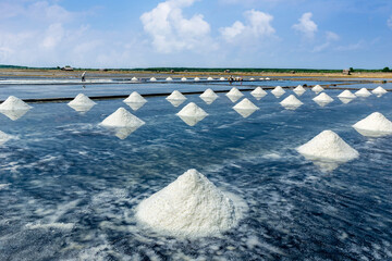 Landscape of salt fields in Can Gio district of Hochiminh city, Vietnam.