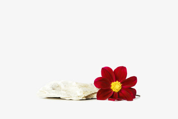 Natural stone as podium for cosmetic products. Cosmetic display stand with red blossom flower on white background. Beauty product or perfume presentation. Nature stone pedestal mock up.