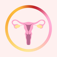 Représentation anatomique du sexe féminin : utérus, ovaire et vagin, avec représentation schématique du cycle menstruel - obrazy, fototapety, plakaty