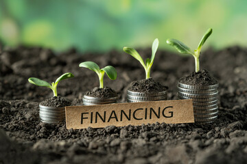 Growing money in the soil with green leaves and trees, with "financing" written on the card. Business and agriculture, success finance. Agricultural plant planting growing, concept in the garden.