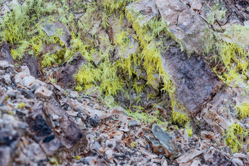 Biancane - Monterotondo Marittimo