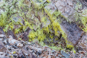 Biancane - Monterotondo Marittimo