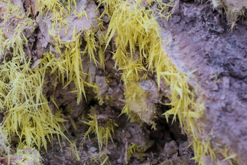 Biancane - Monterotondo Marittimo