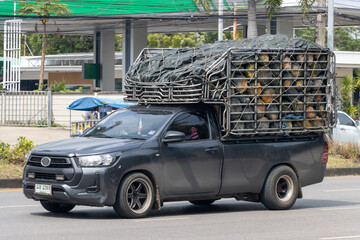 A pickup truck loaded with pumpkins drives down a city street © milkovasa