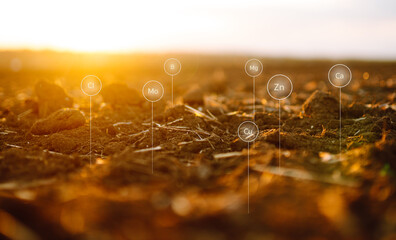 Rich soil with all the elements needed to grow. Future agriculture concept.