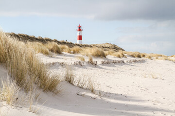 lighthouse on the beach - Powered by Adobe