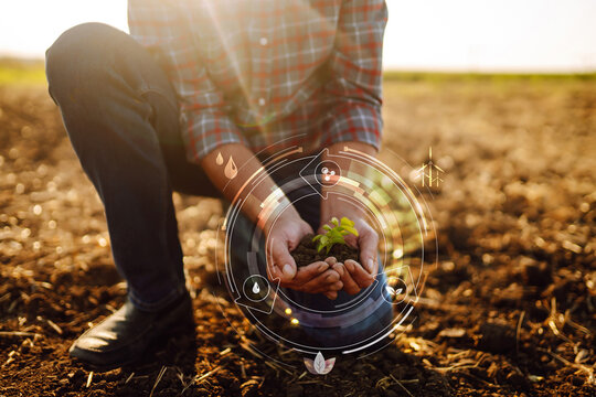 Young plant in hands with soil with graphic concepts. Monitoring the growth of sprougt plants. Modern Agricultural Information Technology Integrate concept.