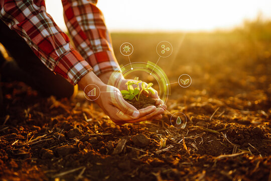 Young plant in hands with soil with graphic concepts. Monitoring the growth of sprougt plants. Modern Agricultural Information Technology Integrate concept.