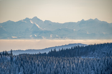 The Alps seen from Schauinsland