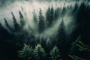 Schilderijen op glas Forest landscape view from above, foggy forest. AI © MiaStendal