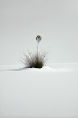 herbe minimaliste dans la neige