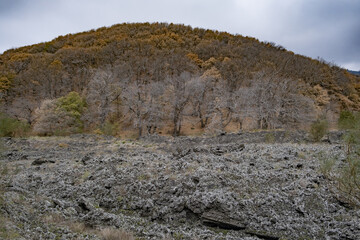 Bosco dell'Etna in Sicilia