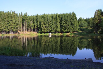 Fototapeta na wymiar Kleiner Waldsee in der Thueringischen Rhoen. Rhoen, Thueringen, Deutschland, Europa - Small forest lake in the Thuringian Rhoen. Rhoen, Thuringia, Germany, Europe 