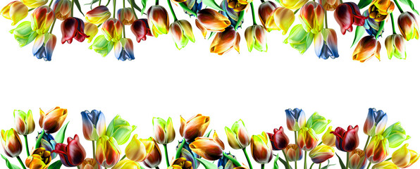 Fototapeta na wymiar AI generative colorful tulips isolated on white. bouquet of tulips