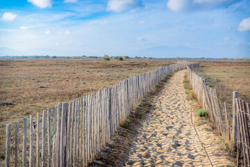 Pr&eacute;servation du littoral et des dunes de la Plage du Lido de Canet-en-Roussillon