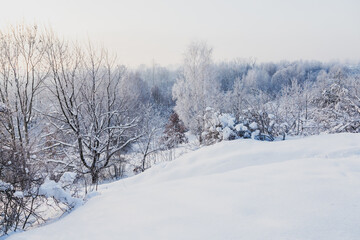 Fototapeta na wymiar Snow-covered forest and meadow, Poland 
