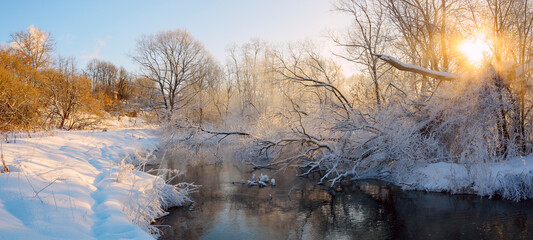 Sunny winter landscape with trees and forest river
