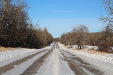 road in winter forest, Elk Island National Park, Alberta