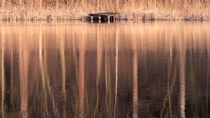 mystical reflection in the lake