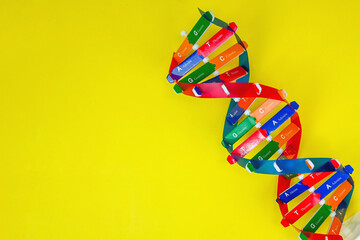 Fototapeta na wymiar DNA helix structure, code made up of four chemical bases: adenine, guanine, cytosine, and thymine. Human DNA spiral molecule structure, Science icon. Hereditary material in organisms.DNA say about You