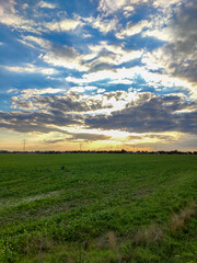 sunset over field