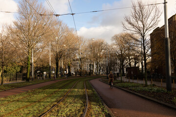 Bikers in Wertheimpark in Amsterdam. Beautiful view, green grass, good weather.