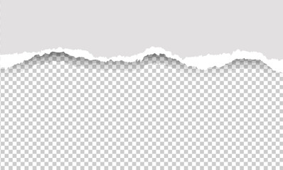 torn paper background
