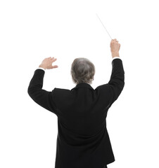 Professional conductor with baton on white background, back view