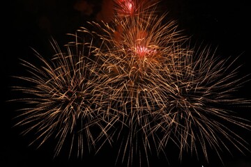 Obraz premium Beautiful fireworks lighting up night sky outdoors