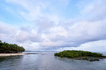 Tropical ocean beach with palm trees.