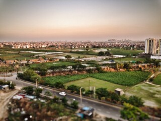 Farmland view with city background