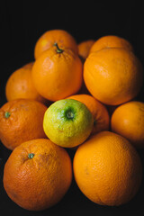 A lemon among oranges. Organic citrus. Individual, different and community concept