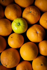 A lemon among oranges. Organic citrus. Individual, different and community concept