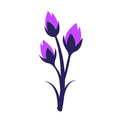 purple tulip blossom flower - flat design
