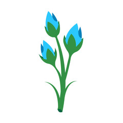 Fototapeta na wymiar blue tulip flower - flat design