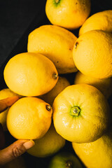 Ripe organic lemons. Lemons, source of antioxidants and vitamin C