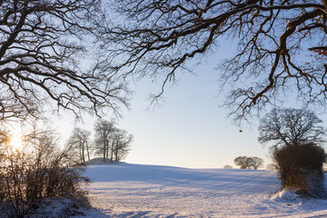 Scenic view to a snowy farm field with hill and barrow embedded by branches in winter. 