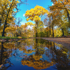 Reflection in the water on Elagin Island in St. Petersburg in autumn .