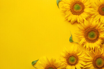 Obraz premium Yellow sunflowers on a yellow background