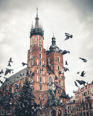 Kości&oacute;ł Mariacki w Krakowie i stado gołębi 