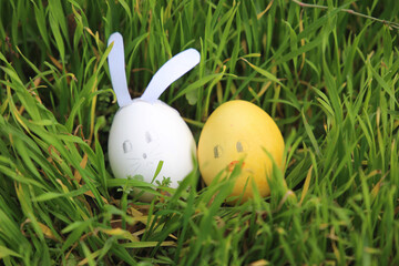 easter eggs decorated as rabbit and chiken